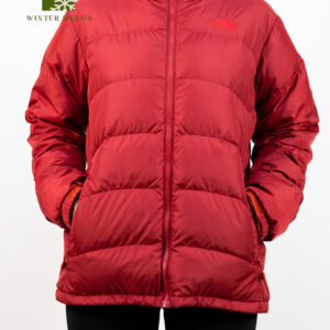 เสื้อกันหนาว the north face