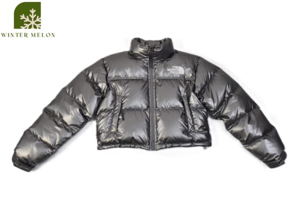 เสื้อกันหนาวทรงครอปTHE NORTH FACE สีเงินเมทัลลิค