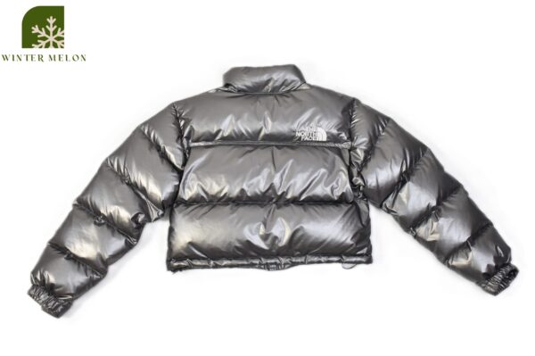 เสื้อกันหนาวทรงครอปTHE NORTH FACE สีเงินเมทัลลิค - Image 4